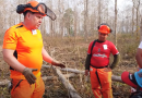 Training course for ICC1 & ICC2 (International Chainsaw Certificate)