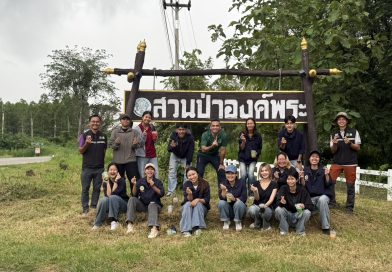 ดูงานในรายวิชา การจัดการผลกระทบสิ่งแวดล้อมในป่าเศรษฐกิจ