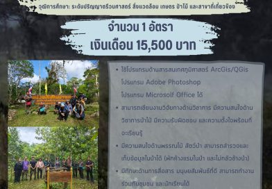 พนักงานจ้างเหมาฯ ตำแหน่ง นักวิชาการป่าไม้/ผู้ช่วยนักวิจัย