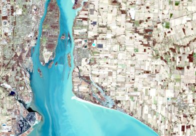 พนักงานจ้างเหมาฯ ด้านป่าไม้และพันธุ์พืช