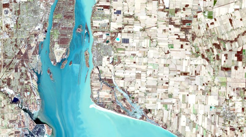 พนักงานจ้างเหมาฯ ด้านป่าไม้และพันธุ์พืช